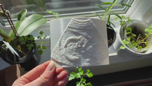 Load and play video in Gallery viewer, 3D Baby Ultrasound Lithophane Photo - Made in Canada