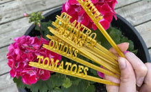 Load and play video in Gallery viewer, Herb Garden Signs (5 PACK) - Made in Canada