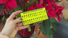 Load and play video in Gallery viewer, Braille 3D Learning Board - Made in Canada