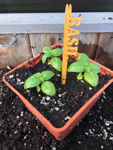 Load image into Gallery viewer, Herb Garden Signs (5 PACK) - Made in Canada