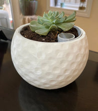 Load image into Gallery viewer, Golf Ball Planter/Bowl - Made in Canada
