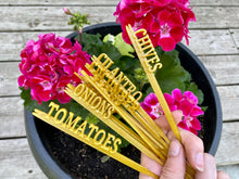 Load image into Gallery viewer, Herb Garden Signs (5 PACK) - Made in Canada